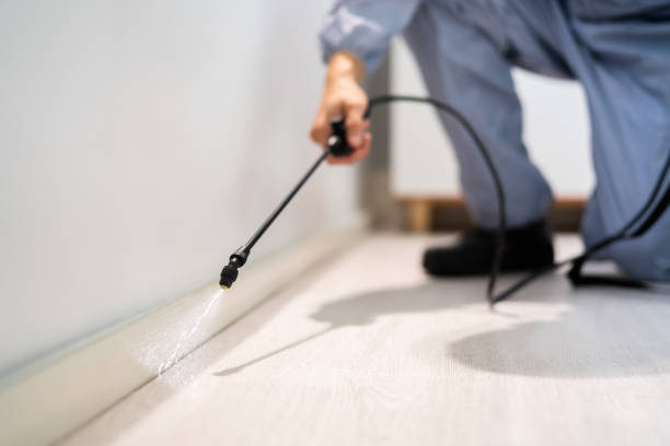 Licensed Pest Control service in Bayonet Point, FL - Show Me Pest Control