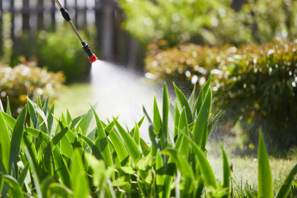 24/7 Emergency Mosquito Control experts in Bayonet Point, FL