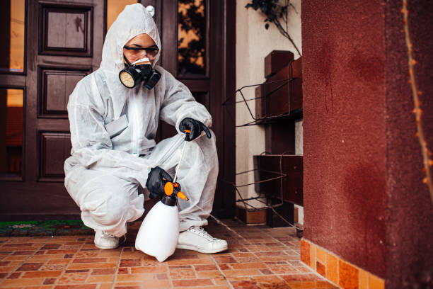 Reliable Mosquito Control contractor in Bayonet Point, FL by Show Me Pest Control
